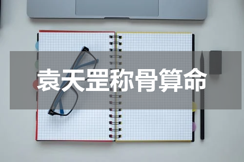 袁天罡称骨算命