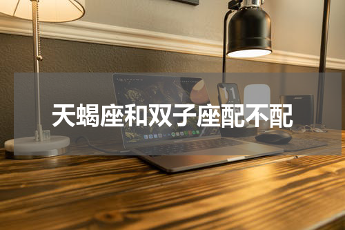 天蝎座和双子座配不配