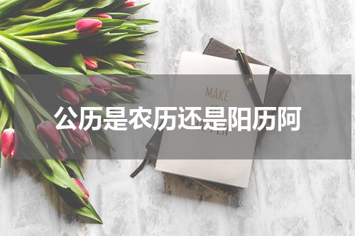 公历是农历还是阳历阿