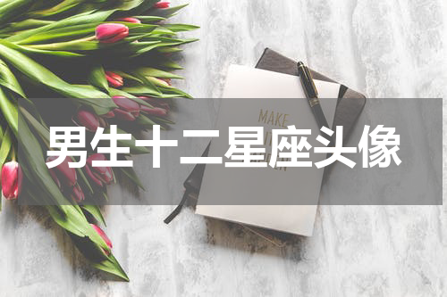 男生十二星座头像