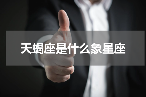 天蝎座是什么象星座