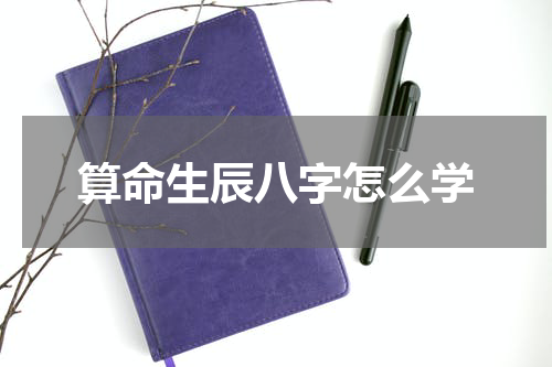 算命生辰八字怎么学