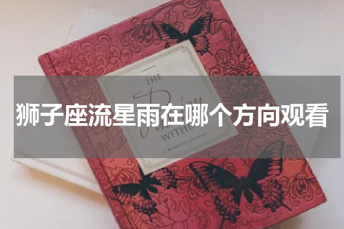狮子座流星雨在哪个方向观看