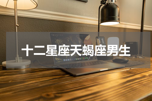 十二星座天蝎座男生