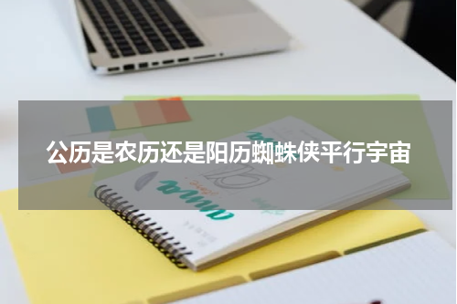公历是农历还是阳历蜘蛛侠平行宇宙