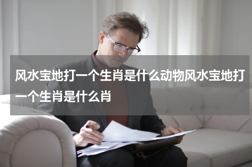 风水宝地打一个生肖是什么动物风水宝地打一个生肖是什么肖