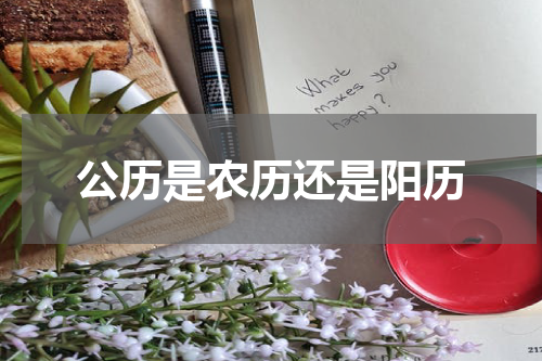 公历是农历还是阳历