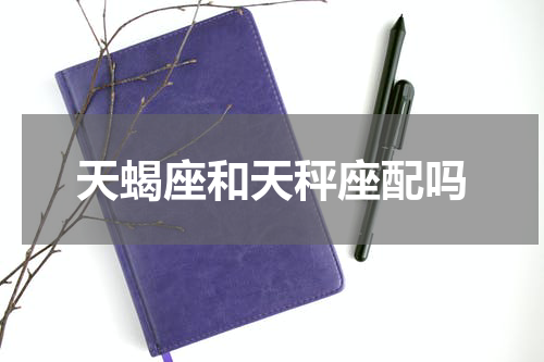 天蝎座和天秤座配吗