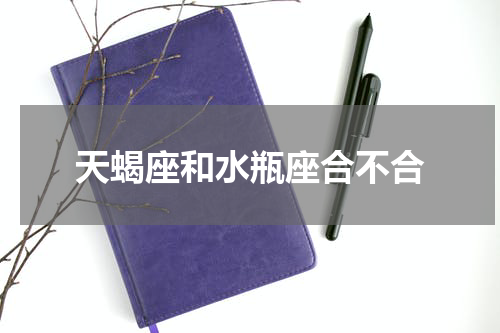 天蝎座和水瓶座合不合
