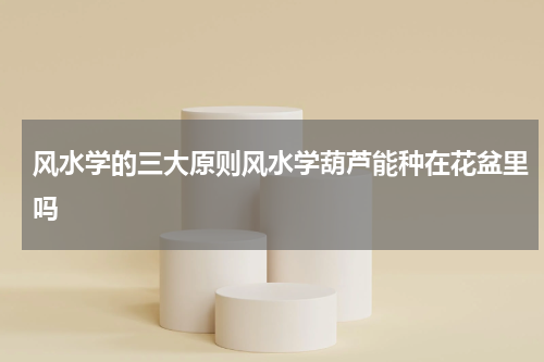 风水学的三大原则风水学葫芦能种在花盆里吗