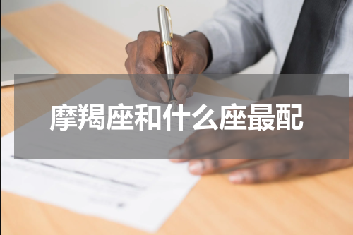 摩羯座和什么座最配