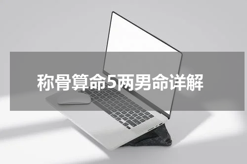 称骨算命5两男命详解