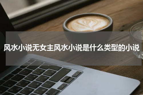 风水小说无女主风水小说是什么类型的小说