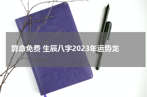 算命免费 生辰八字2023年运势龙