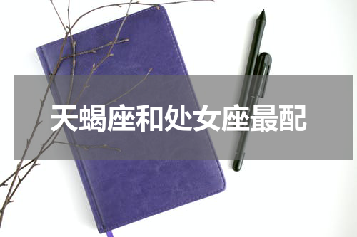 天蝎座和处女座最配