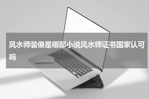 风水师装傻是哪部小说风水师证书国家认可吗