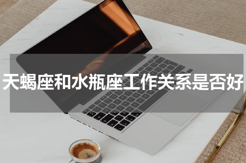 天蝎座和水瓶座工作关系是否好