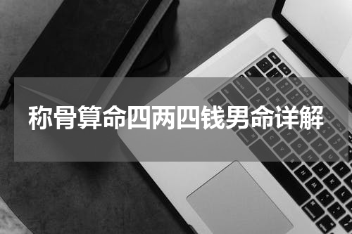 称骨算命四两四钱男命详解