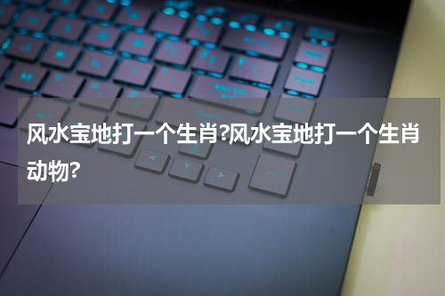 风水宝地打一个生肖?风水宝地打一个生肖动物?