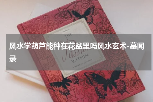 风水学葫芦能种在花盆里吗风水玄术-墓闻录