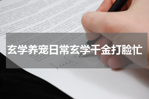 玄学养宠日常玄学千金打脸忙