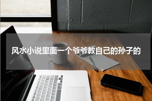 风水小说里面一个爷爷教自己的孙子的