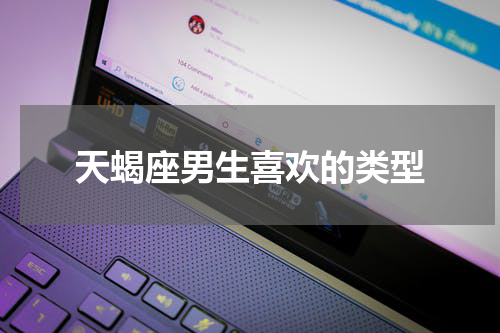 天蝎座男生喜欢的类型
