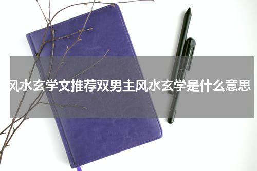 风水玄学文推荐双男主风水玄学是什么意思