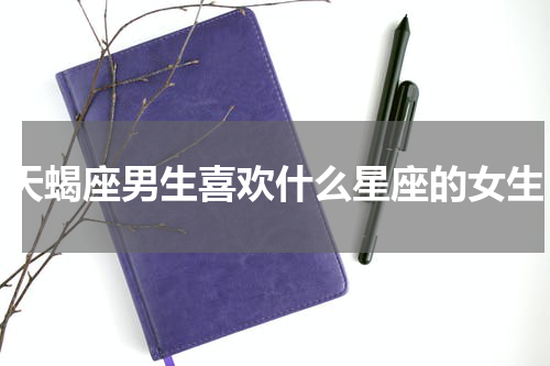 天蝎座男生喜欢什么星座的女生