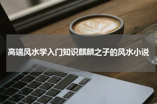 高端风水学入门知识麒麟之子的风水小说