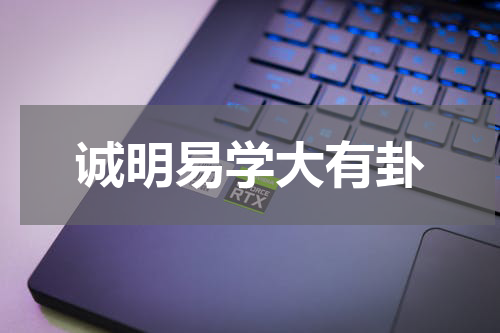 诚明易学大有卦