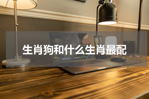 生肖狗和什么生肖最配