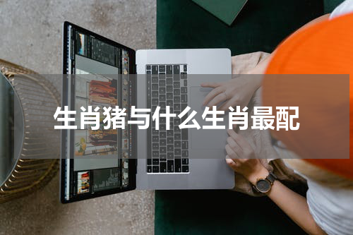 生肖猪与什么生肖最配
