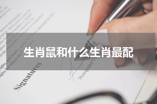 生肖鼠和什么生肖最配