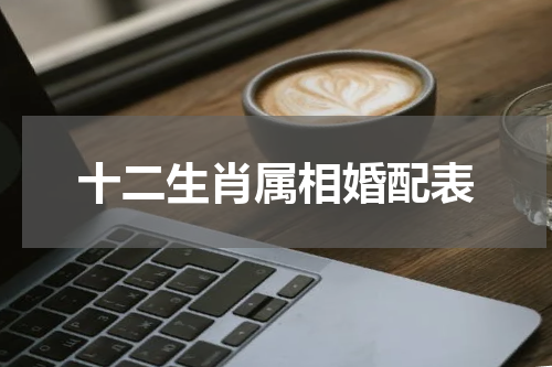 十二生肖属相婚配表