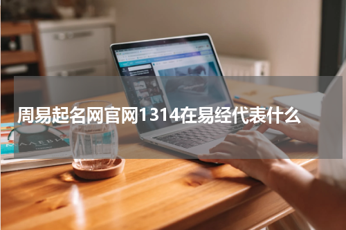 周易起名网官网1314在易经代表什么
