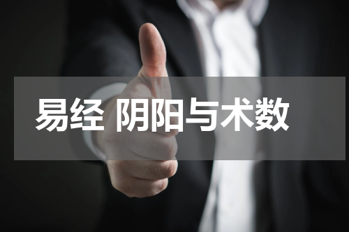 易经 阴阳与术数