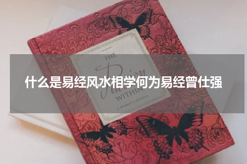 什么是易经风水相学何为易经曾仕强