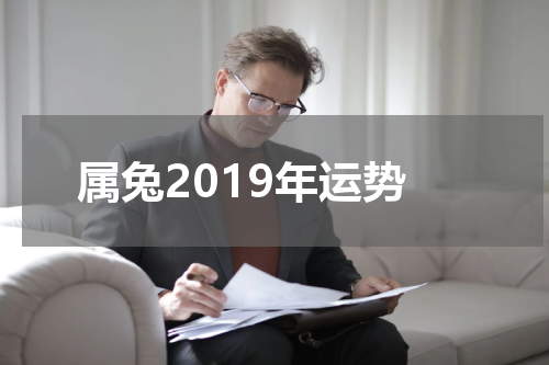 属兔2019年运势