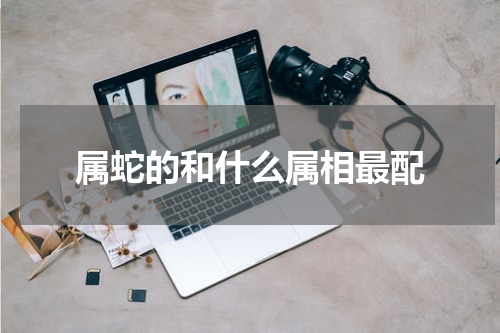 属蛇的和什么属相最配