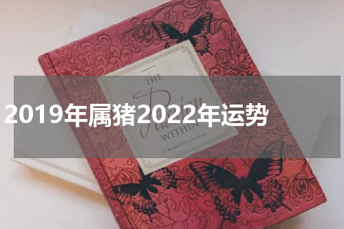 2019年属猪2022年运势
