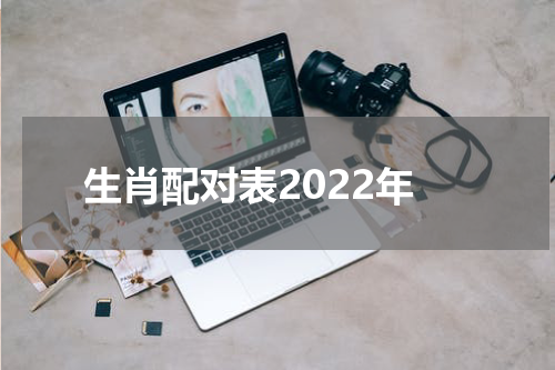 生肖配对表2022年