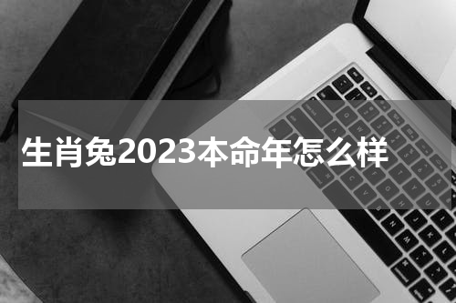 生肖兔2023本命年怎么样