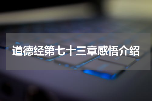 道德经第七十三章感悟介绍