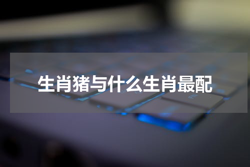 生肖猪与什么生肖最配