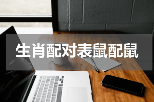 生肖配对表鼠配鼠