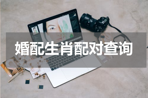 婚配生肖配对查询