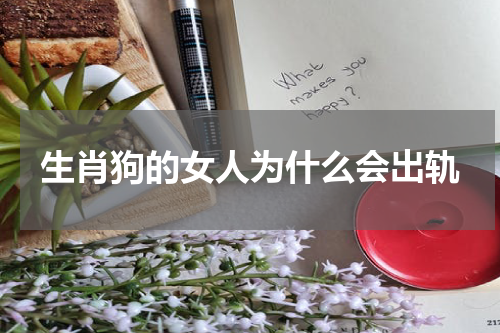 生肖狗的女人为什么会出轨