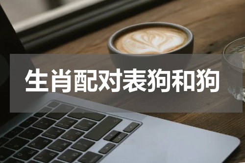 生肖配对表狗和狗