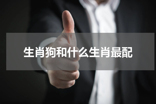 生肖狗和什么生肖最配